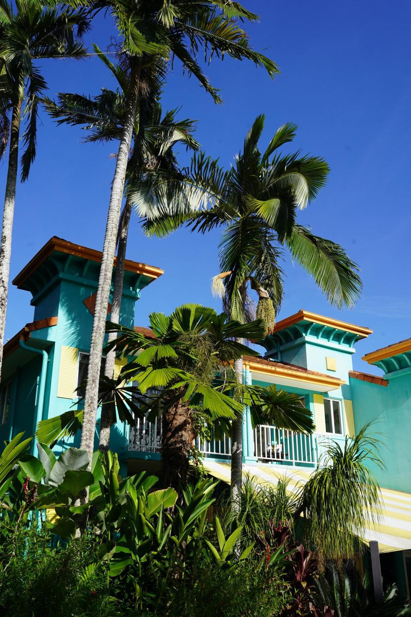 Casa Papaya Adults Only Apartment Port Douglas Buitenkant foto